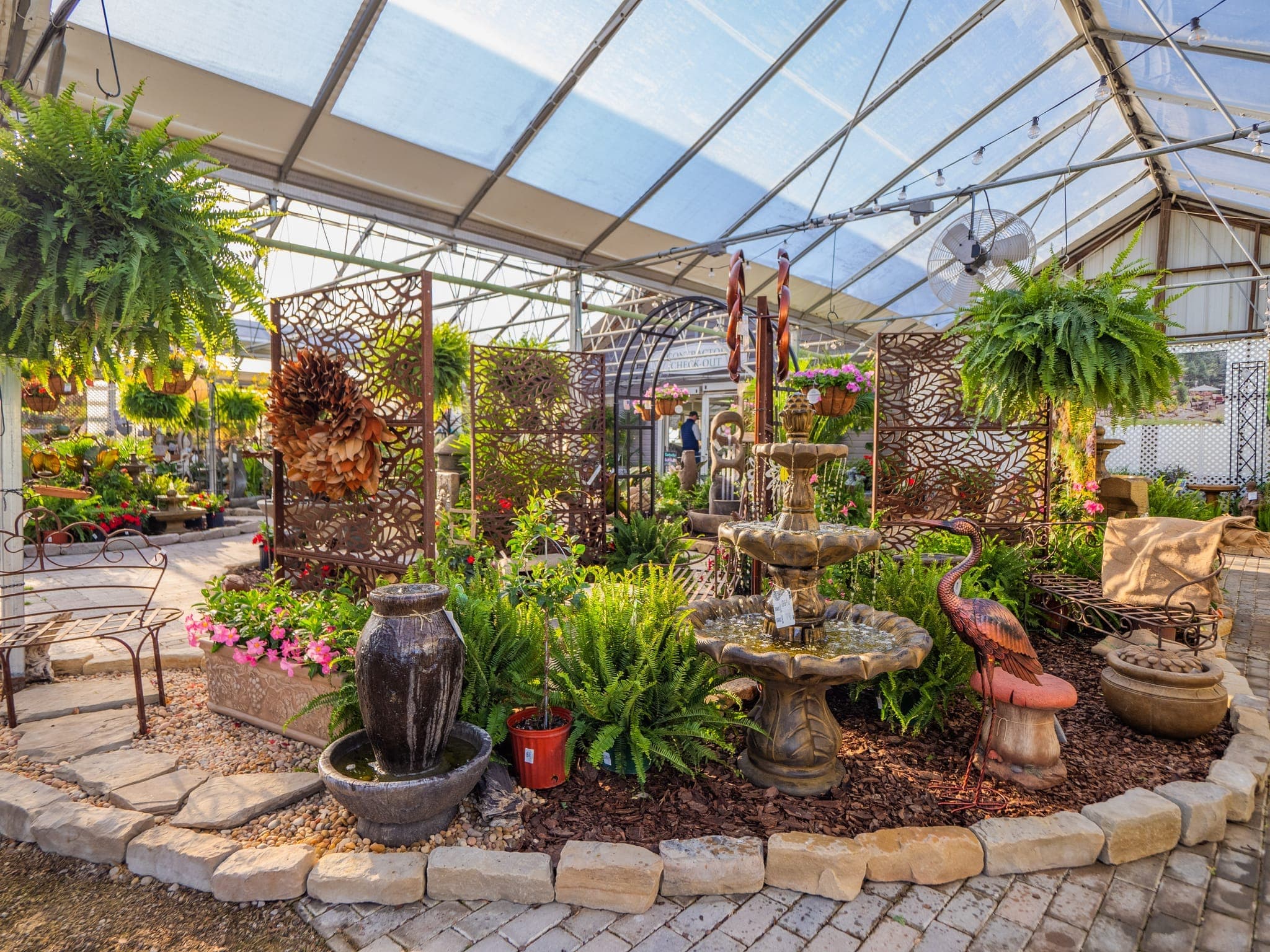 Rows of healthy plants growing inside the Colonial Classics greenhouse