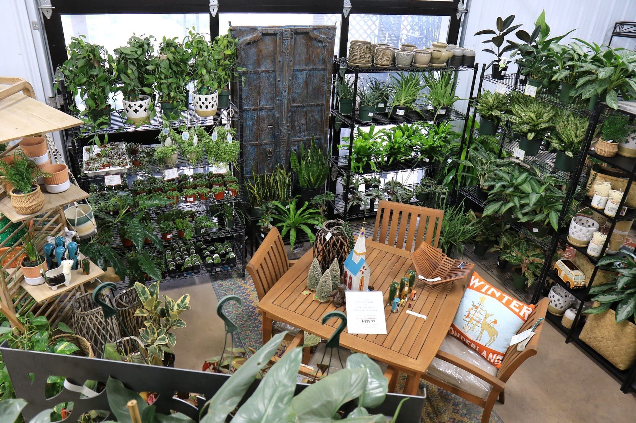 Houseplants at Colonial Classics Garden Center