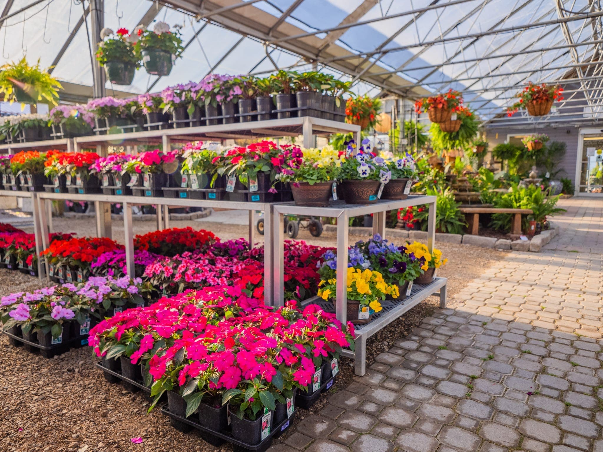 A beautiful selection of trees and shrubs ready for purchase and professional planting