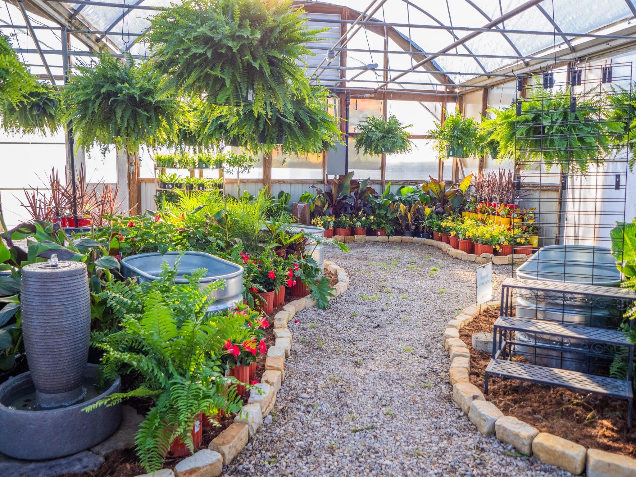 Colorful plants and seasonal displays for browsing