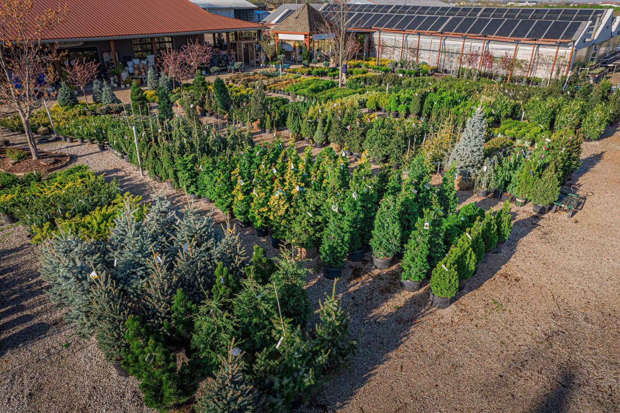 Trees & Shrubs at Colonial Classics Garden Center