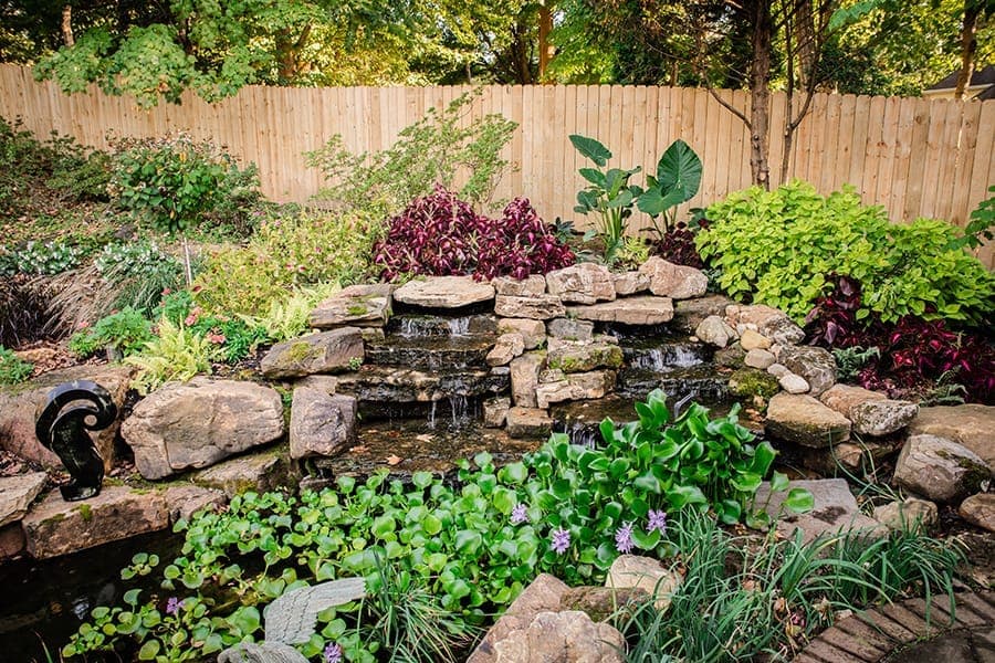 Water Feature